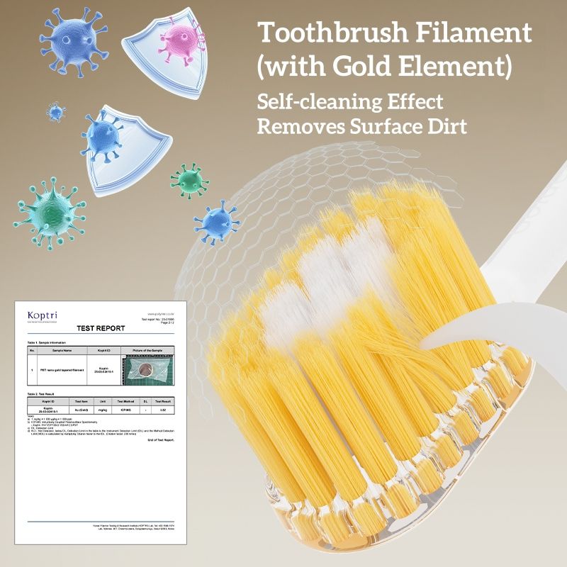Toothbrush With Replaceable Brush Heads (Pack Of 2)